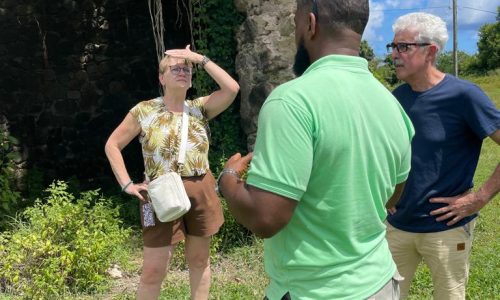 0c4d6f02-aa2d-4dfa-8f3b-b7fd80124b46