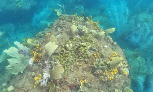 7c764506-5f3e-43a7-9ae2-c30f6a21e082