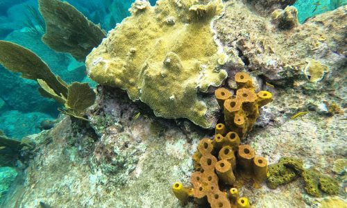 a89f87b2-6d8e-41c9-ae9d-109596b7452c